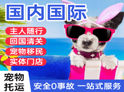 安阳红旗渠国际宠物托运 【国